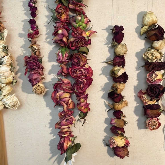 Dried 🥀 Roses - Picture 9 of 9